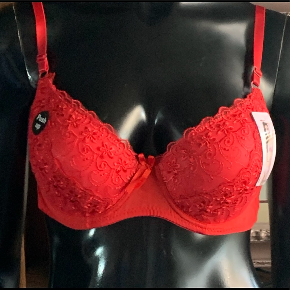 “L.S.” Red Lacey Bra 40D   NWT